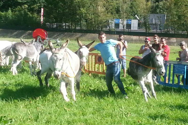 espectacles-amb-animals-01