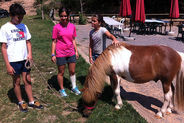 espectacles-amb-animals-03