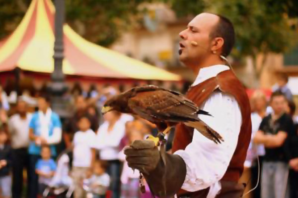 espectacles-amb-animals-04